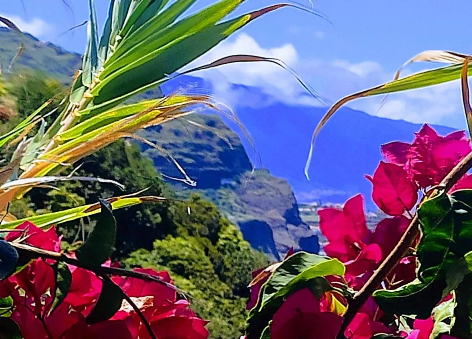 Vendégház Bluegreen Arco da Calheta Portugália